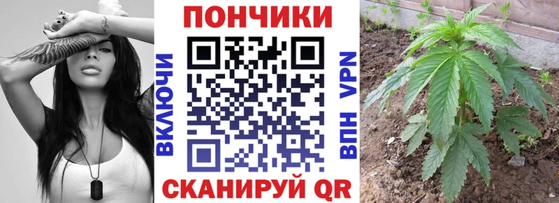 Магазины продажи наркотиков Снежногорск Бошки Шишки АМФЕТАМИН Галлюциногенные грибы Cocaine A-PVP ГАШ