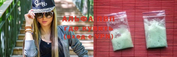 ПСИЛОЦИБИНОВЫЕ ГРИБЫ Алзамай