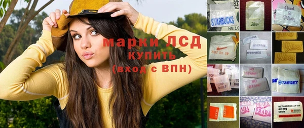 ПСИЛОЦИБИНОВЫЕ ГРИБЫ Алзамай
