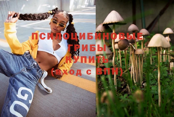 ПСИЛОЦИБИНОВЫЕ ГРИБЫ Алзамай