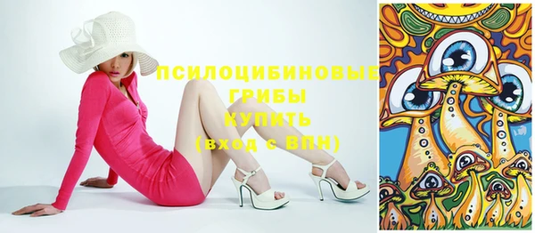 ПСИЛОЦИБИНОВЫЕ ГРИБЫ Алзамай