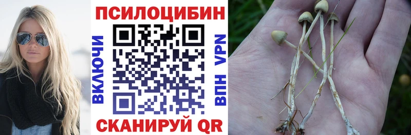 Псилоцибиновые грибы Psilocybine cubensis  Снежногорск 